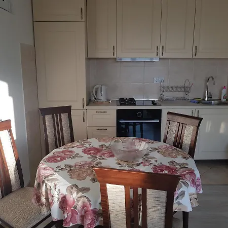 Apartments Vukovic 斯韦蒂·斯特凡 外观 照片